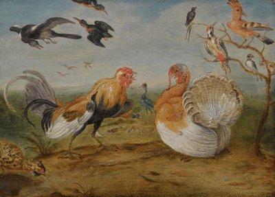 Een landschap met een haan en een kalkoen die ruzie maken, en ander gevogelte door Jan van Kessel the Elder